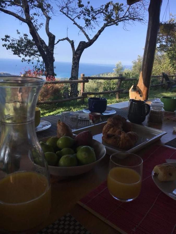 Masseria Cata Catascia Bed & Breakfast Tortorella Dış mekan fotoğraf